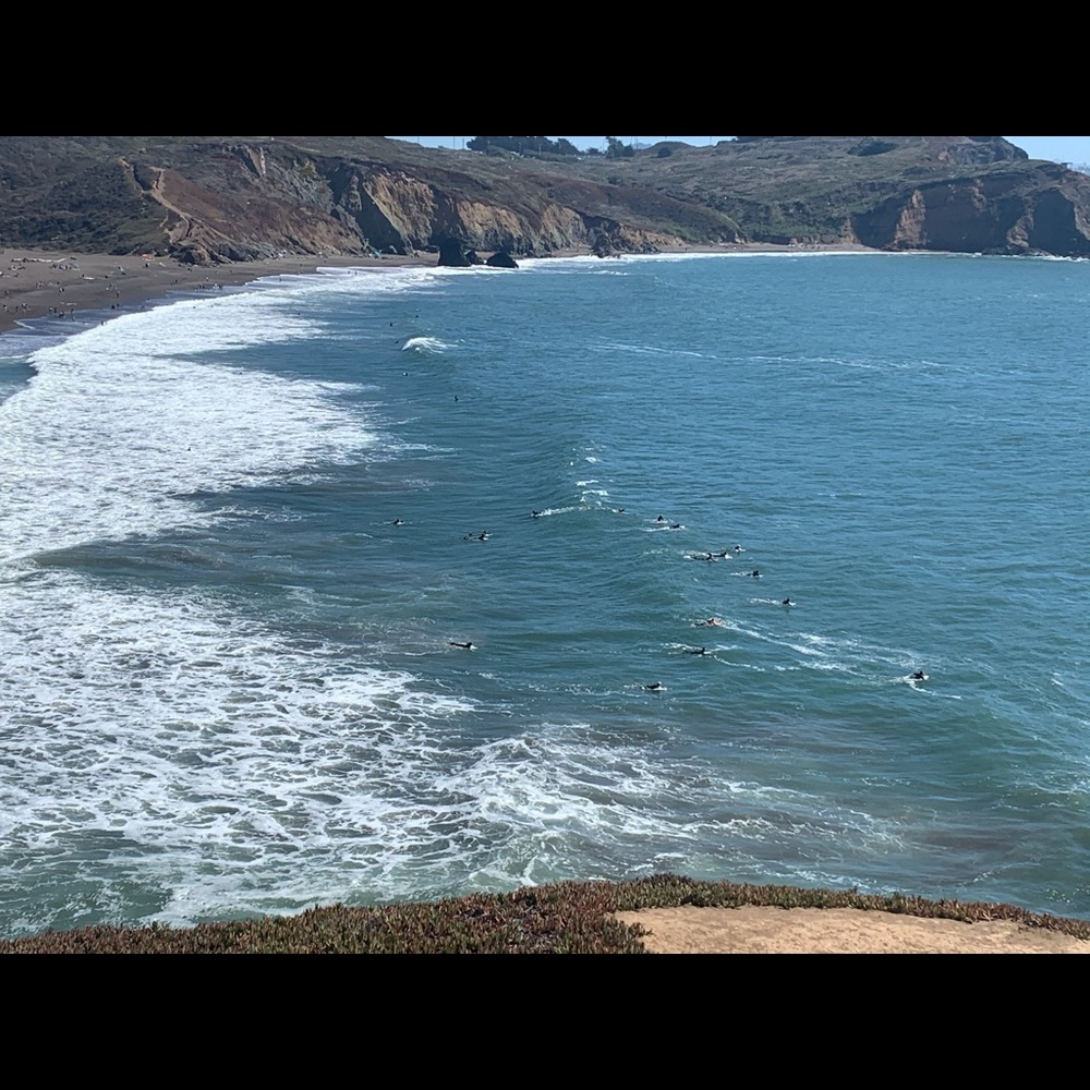 Meet your Posher, Shikha